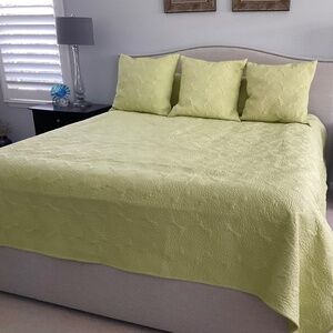DKNY coverlet with matching European Shams (3) and 2 king size shams.